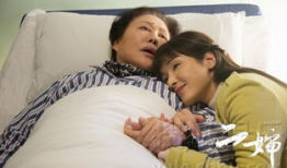 二婶电视剧全部演员表,实力派演员阵容，演绎温情家庭故事