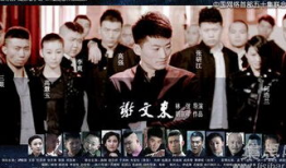 谢文东电视剧全集,黑道风云再起