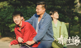 有家才有爱电视剧全集,温情演绎家庭情感纠葛